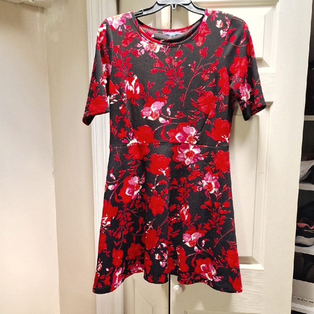 Floral Red and Black Dress